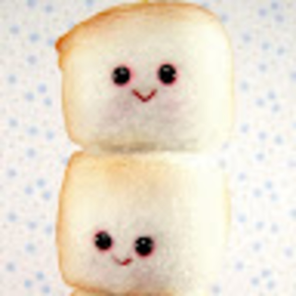 Meet your Posher, Luna